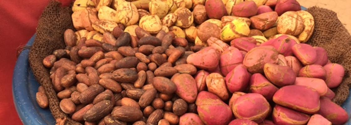 various nuts